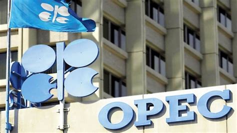 Kritik terhadap OPEC